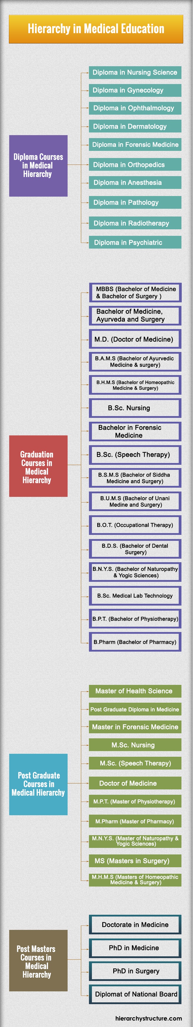 Medical Education Hierarchy chart Medical Education Hierarchy chart