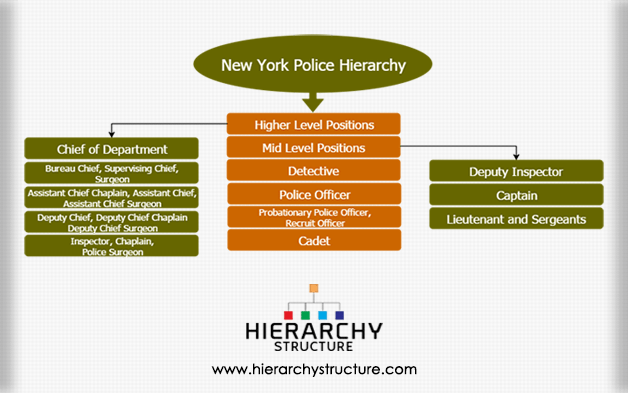 New York Police Hierarchy Chart