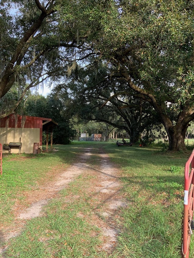 SOLD! 22± Acres Agricultural Land, Plant City, FL11 AM Thursday