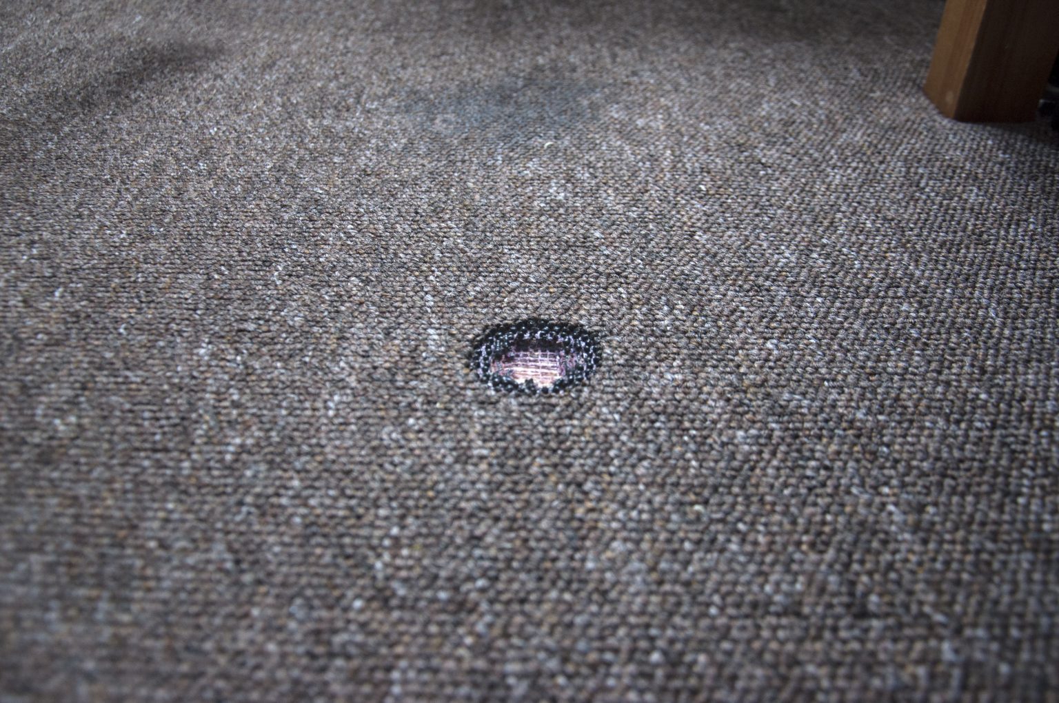 How often should you replace your carpet?