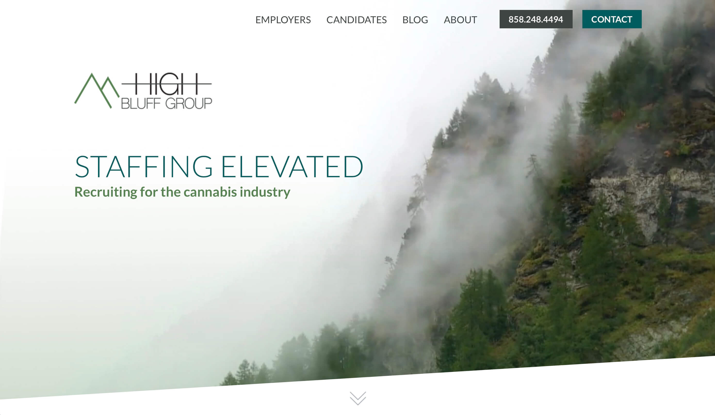 High Bluff Group Launches Redesigned site High Bluff Group