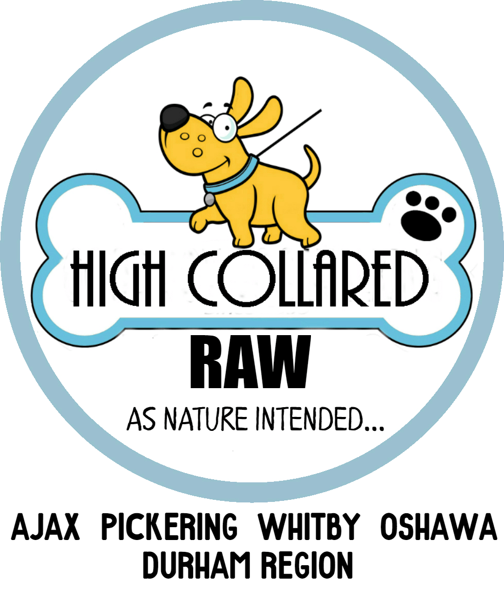 Raw Dog Food Ajax High Collared Raw High quality raw dog food in