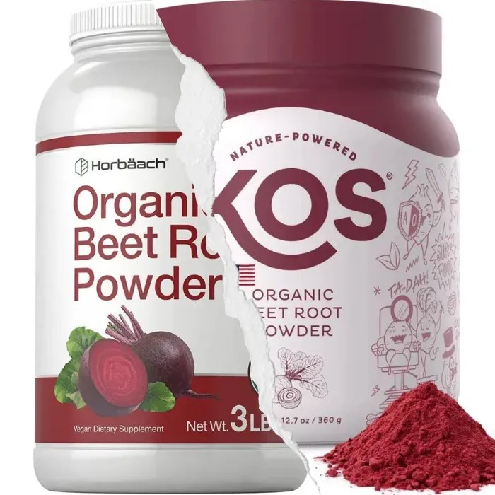 The 6 Best Organic Beet Root Powder Brands Highend Reports