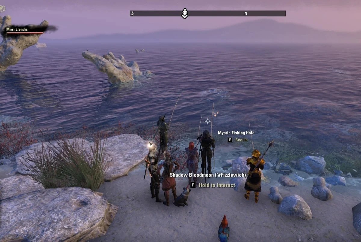 Where To Get Clam Gall Eso at Heather Doss blog