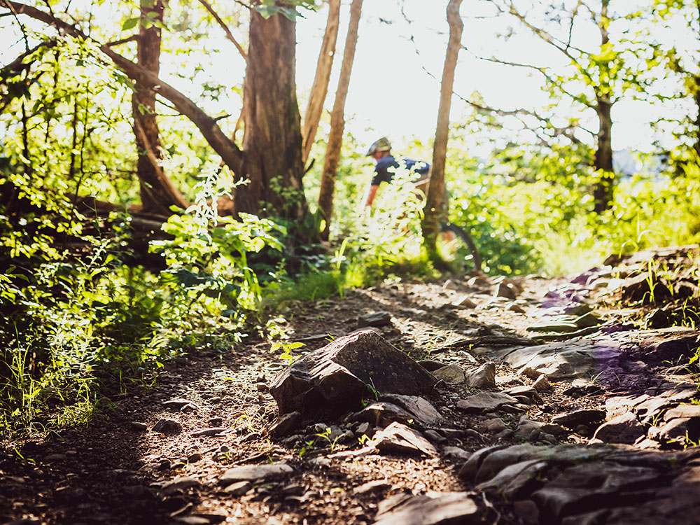 Home City of Highlandville