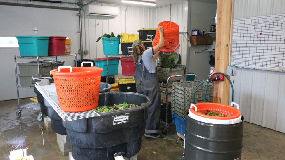 Planning an Efficient & Safe Wash/Pack Area High Mowing Organic Non