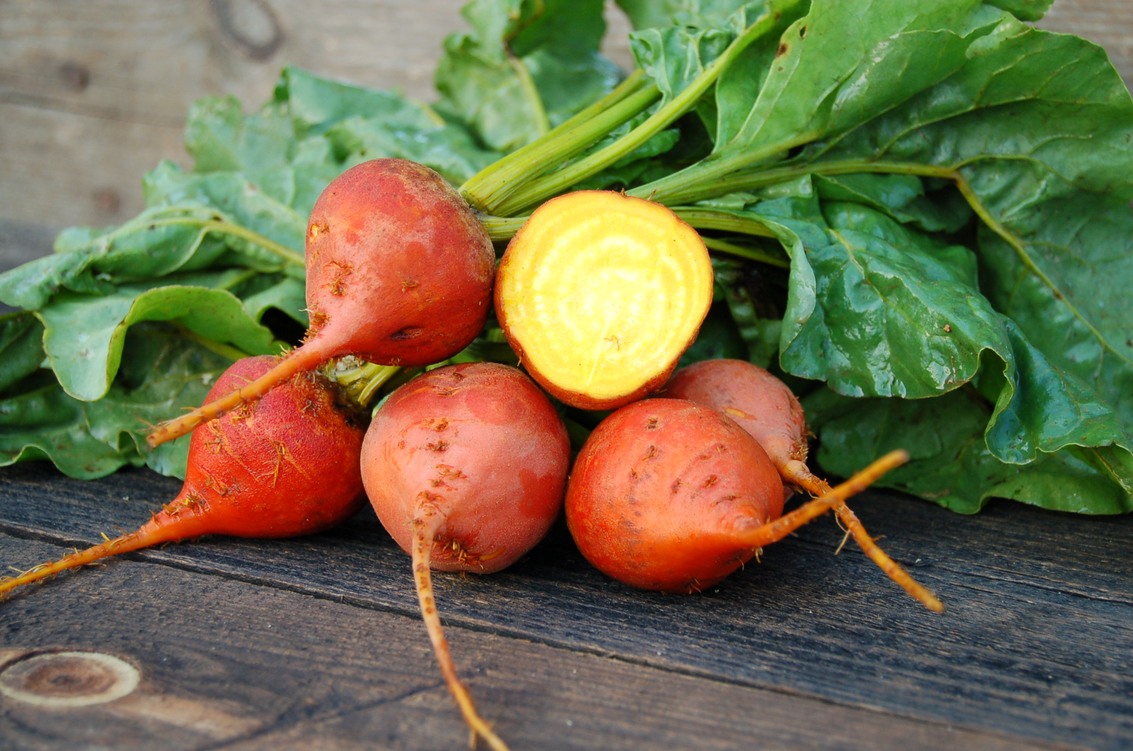 The Sweetest Beet Basics of Soil Nutrition High Mowing Organic Non