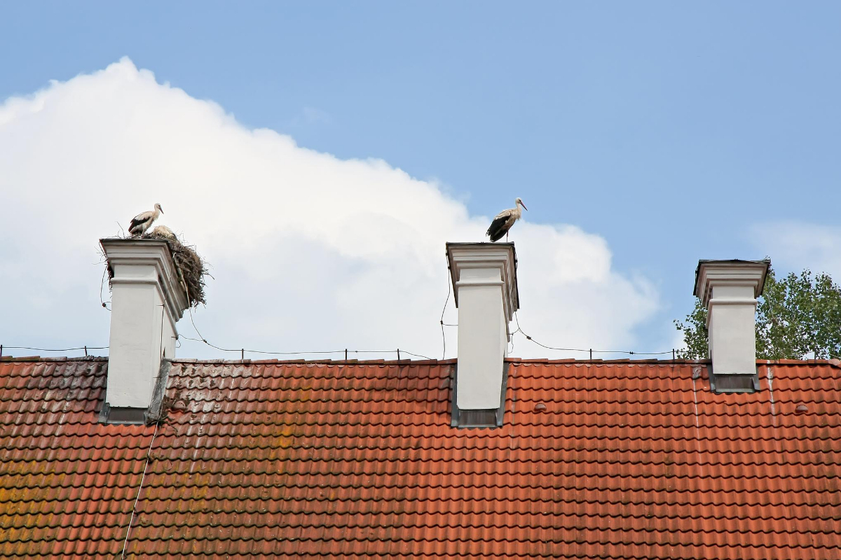 How To Repair Chimney Crown Everything About Chimney Crown