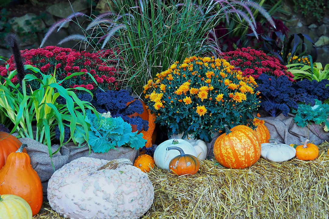 Fall Landscaping Ideas to Find That Fall Feeling
