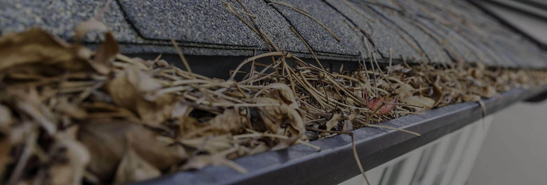 Gutter Cleaning in Massachusetts from HiCleaners
