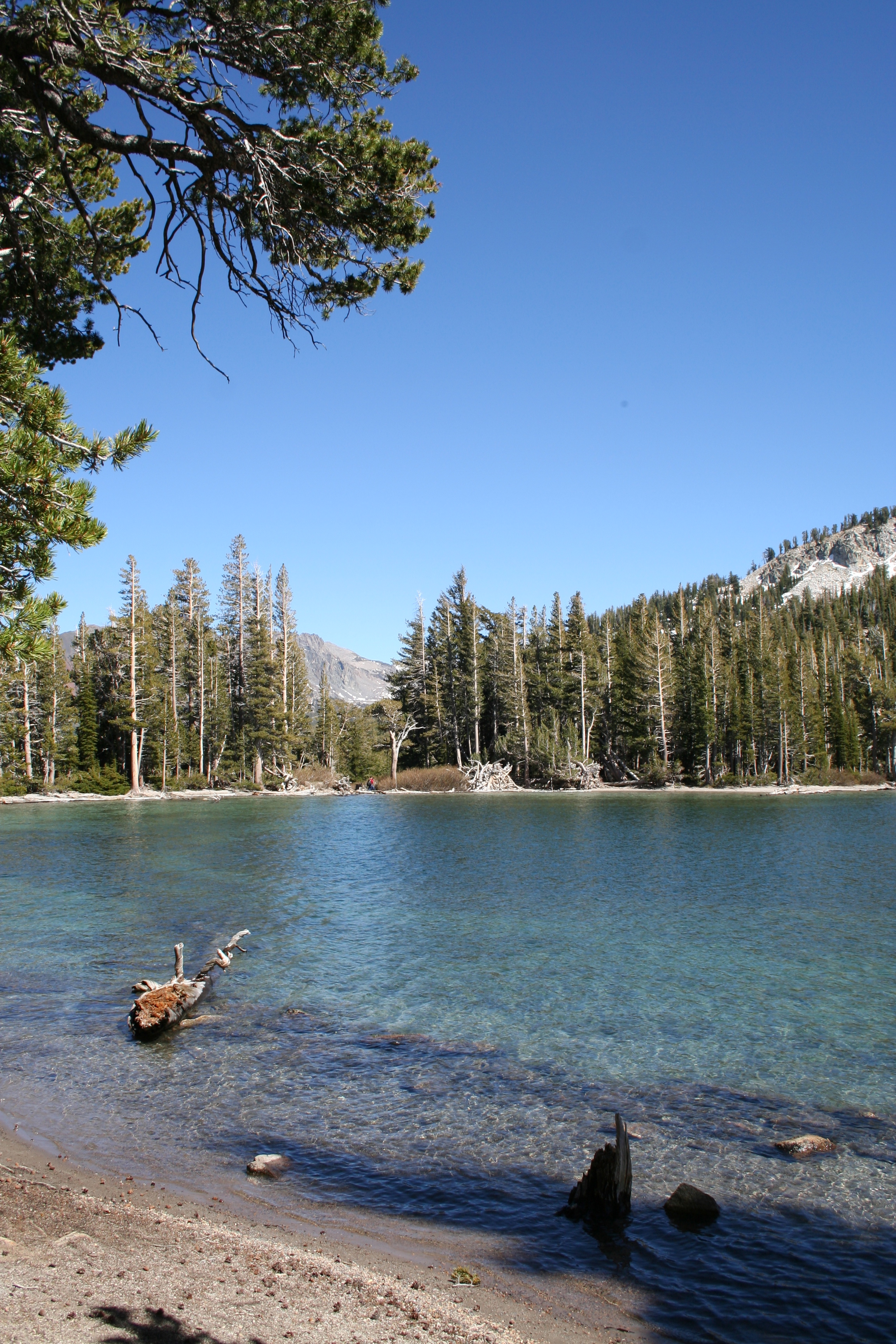 Hikerly — Inyo National Forest McLeod Lake Loop near Mammoth Lakes