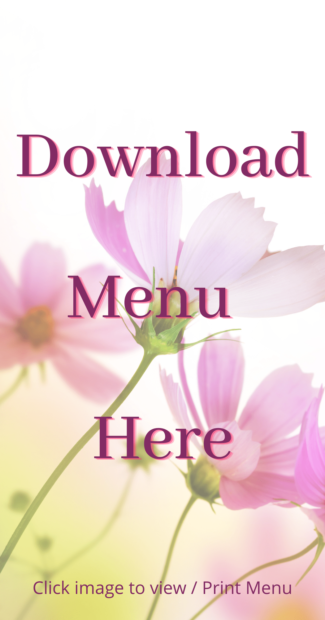 Coffee Shop Hillcrest Nursuries