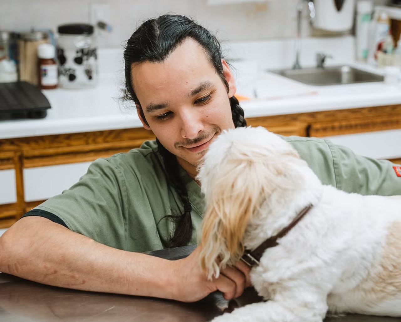Hillcrest Pet Hospital Glendale Veterinarians
