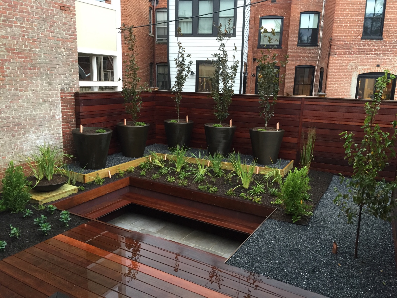 A Capitol Hill Garden Design Primer HillRag