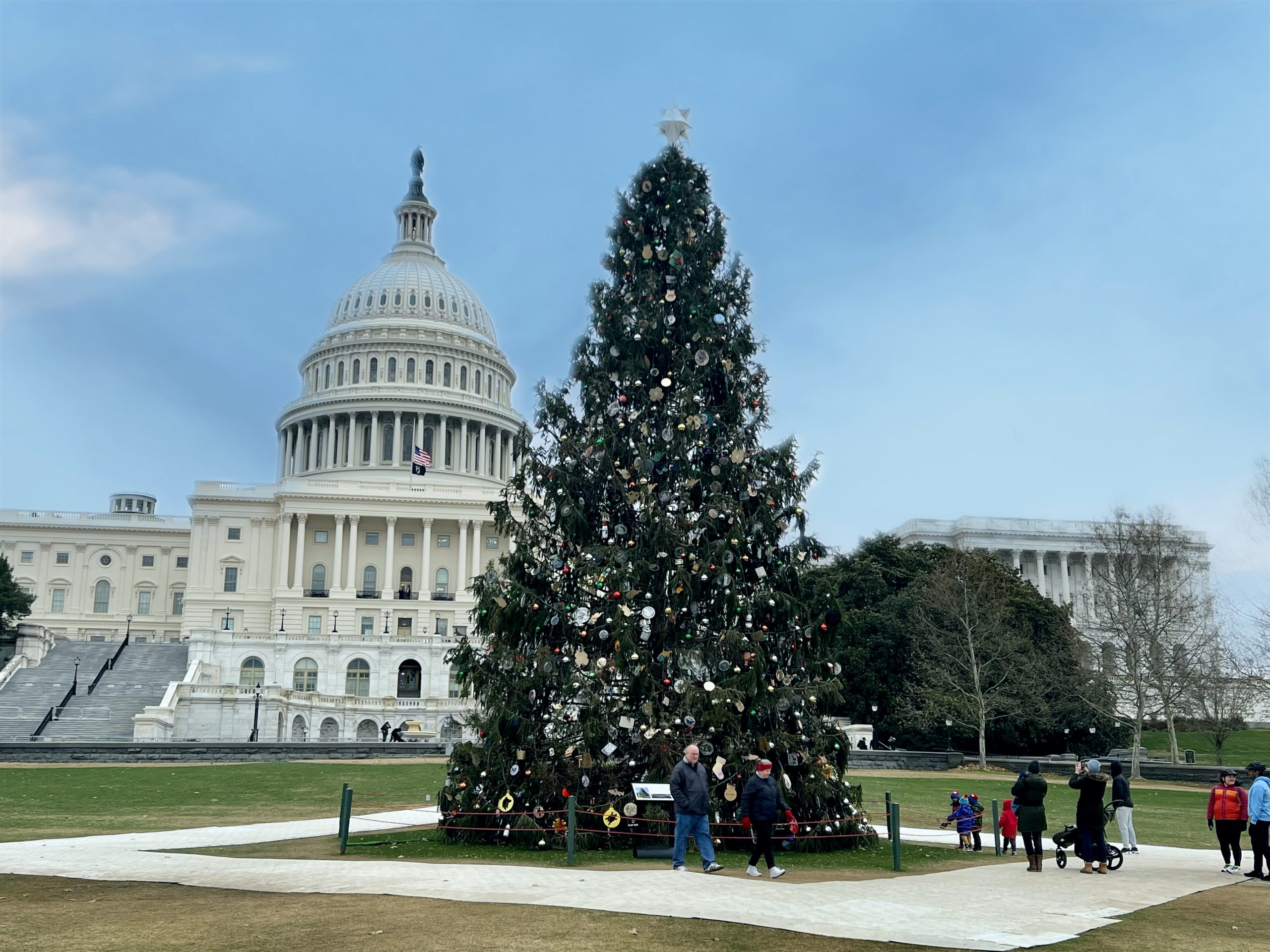 The Journey of the Capitol Christmas Tree HillRag