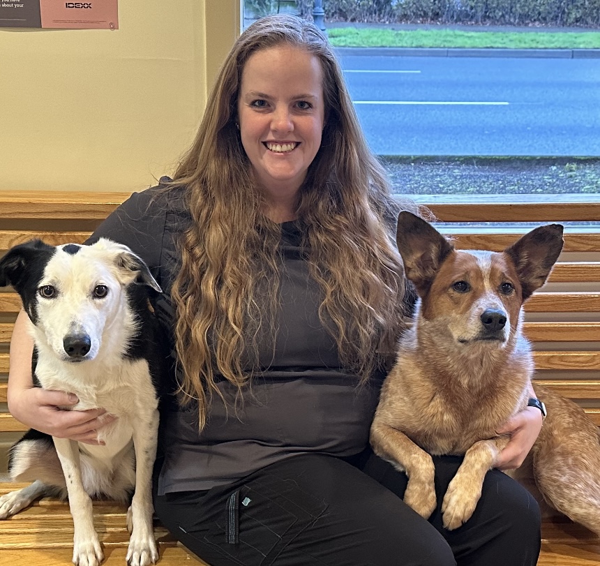 About Us Hillsboro Veterinary Clinic