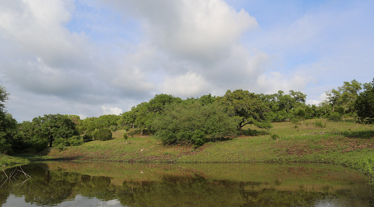 Escondida Ranch Wimberley