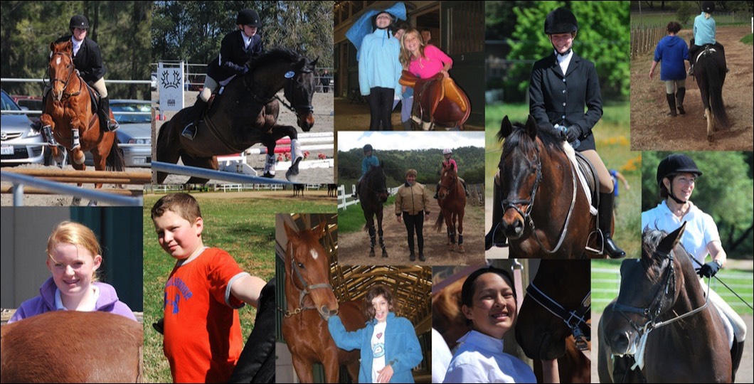 Hilltop Stables, Napa Home 707.258.8874