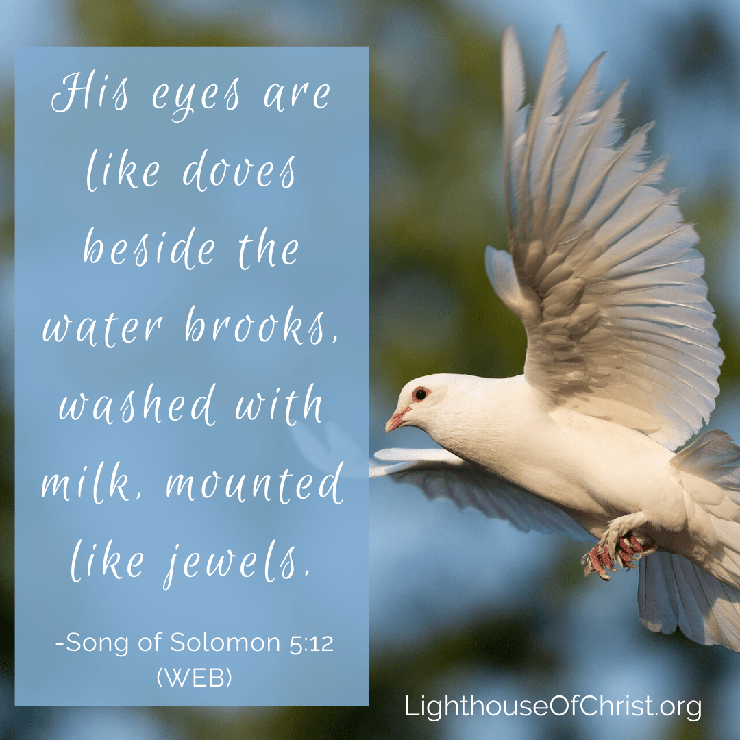 Make Your Point DOVETAIL