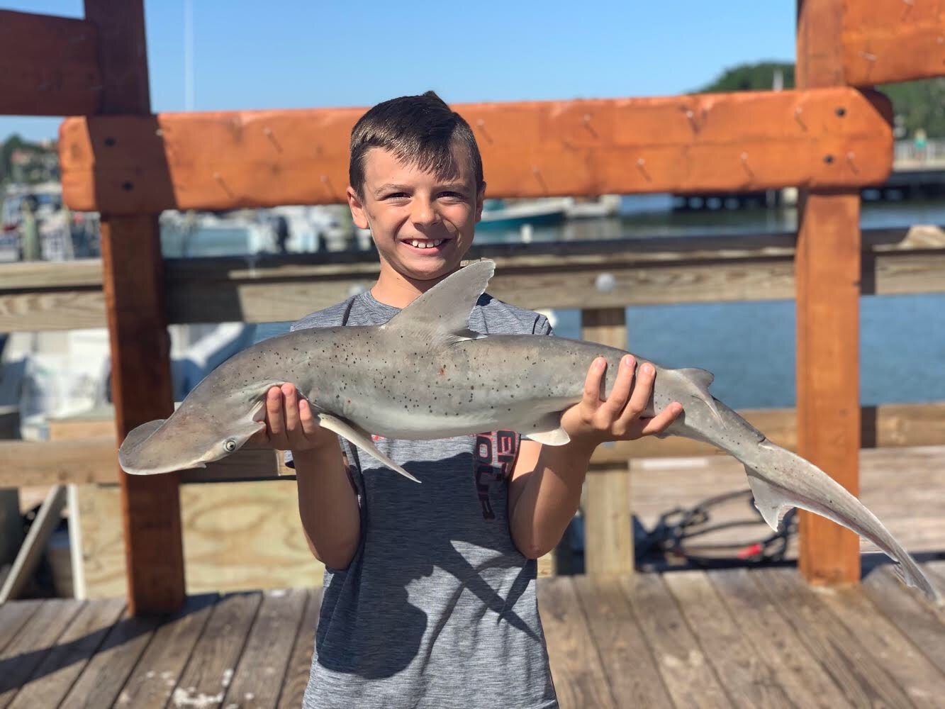 Shark Fishing Charter Hilton Head Island, South Carolina