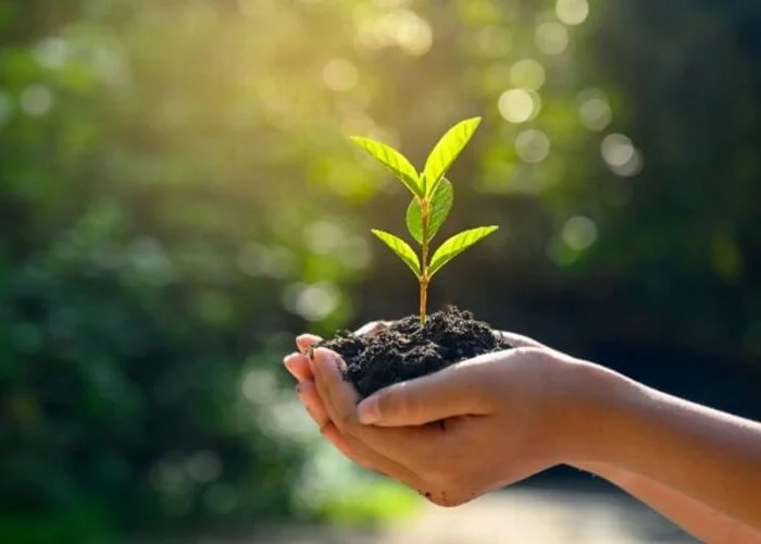 What is Environmental Science in Your own Words? Hptimes