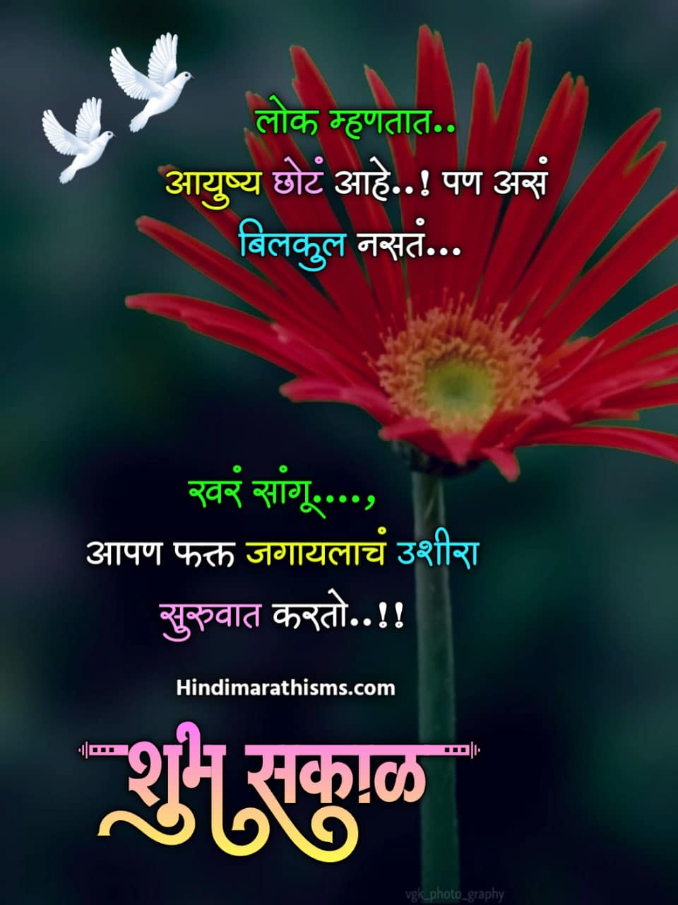 Good Morning Quotes Marathi 500+ शुभ सकाळ सुप्रभात