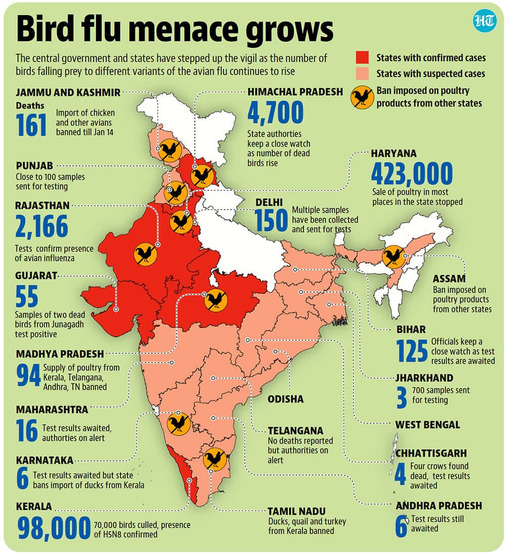 Centre sounds alert as bird flu cases spread to 6 states Latest News
