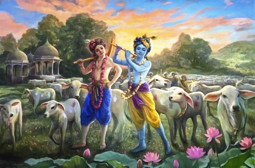 Lord Cowherd Krishna Love Images HinduWallpaper