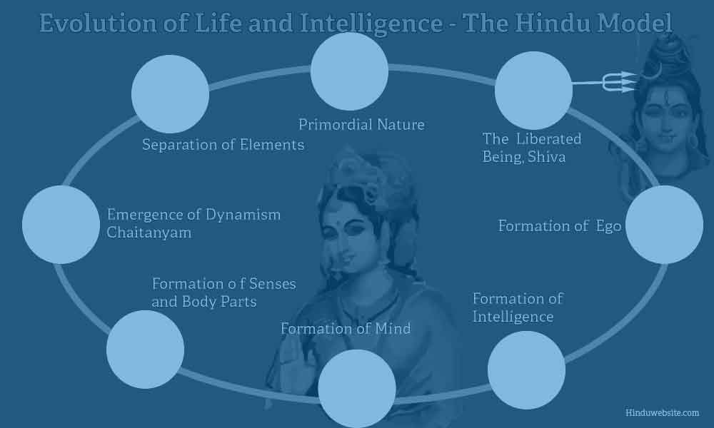 Natural Evolution According to Hinduism