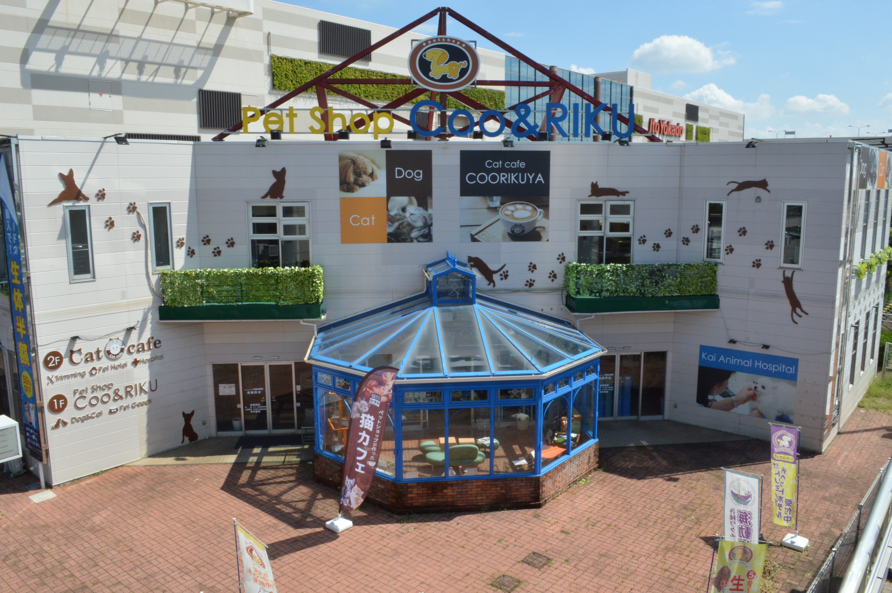 ペットショップCoo&RIKU 相模原店 古淵駅周辺情報 古淵・淵野辺を中心とした町田市・相模原市の賃貸・売買物件情報 日の出
