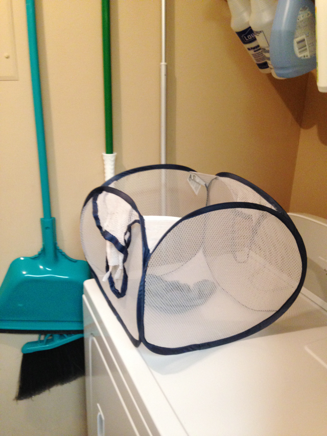 How to Reduce Your Paper Towel Usage JESSIKA REED