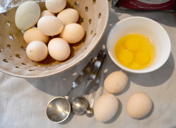 How to Use Bantam Eggs Hip Chick Digs