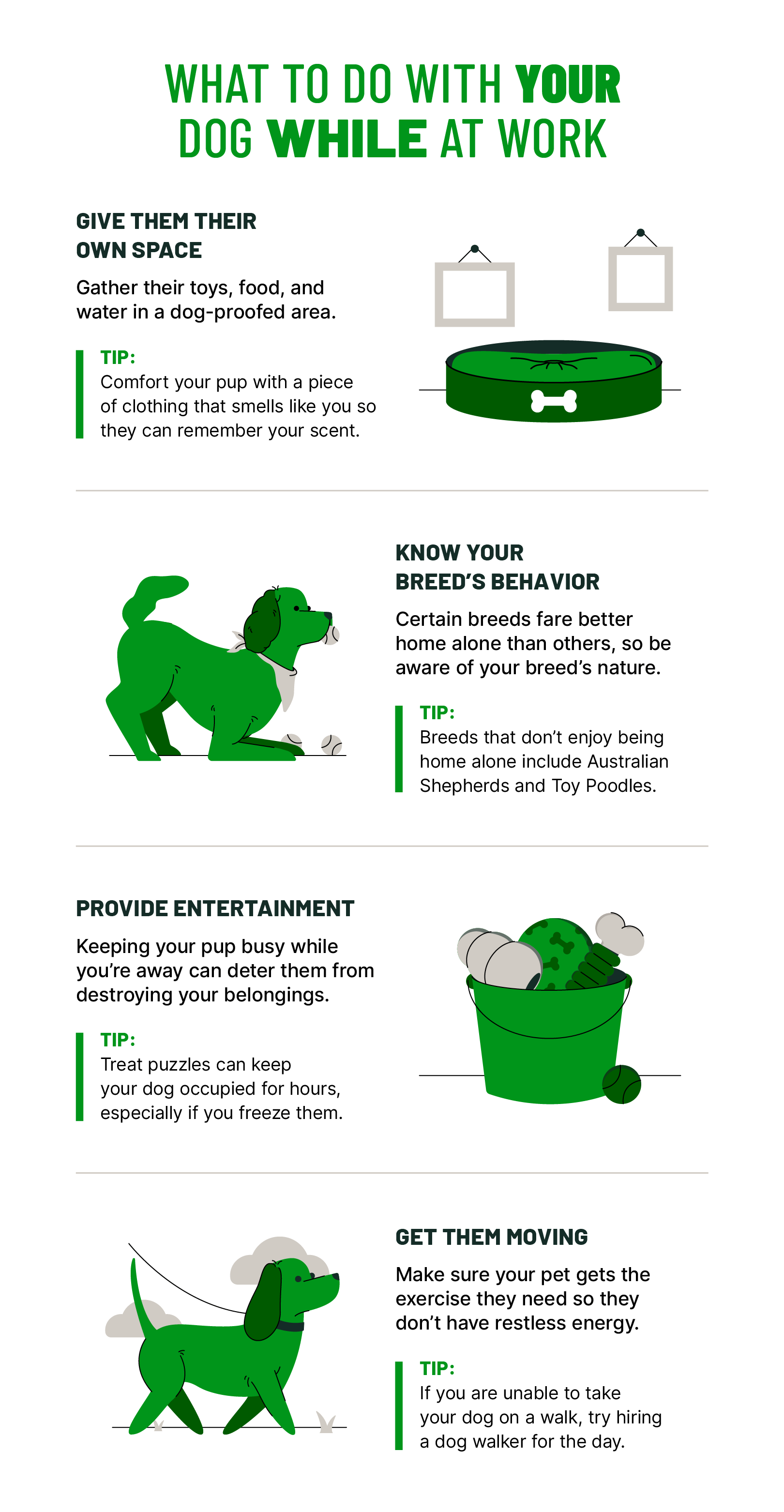 Leaving Your Dog Home Alone While at Work A GuiltFree Guide