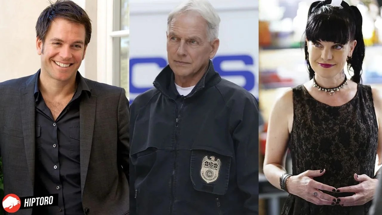 NCIS's Fan Favorite Michael Weatherly to Return as Tony DiNozzo? Actor(01)