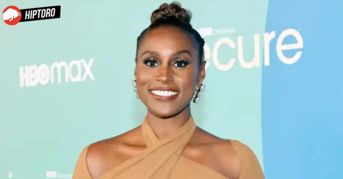 Issa Rae Actress Biography, Wiki, Age, Height, Net Worth, Partner What is issa rae's net worth