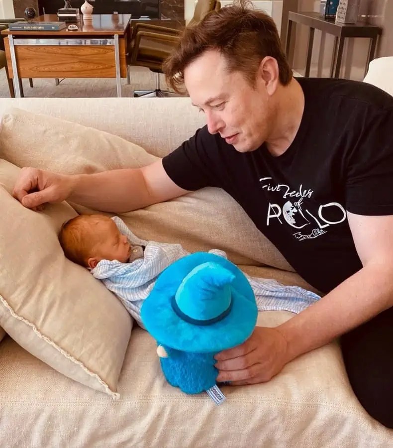 All About Nevada Alexander Musk Age Parents Siblings More
