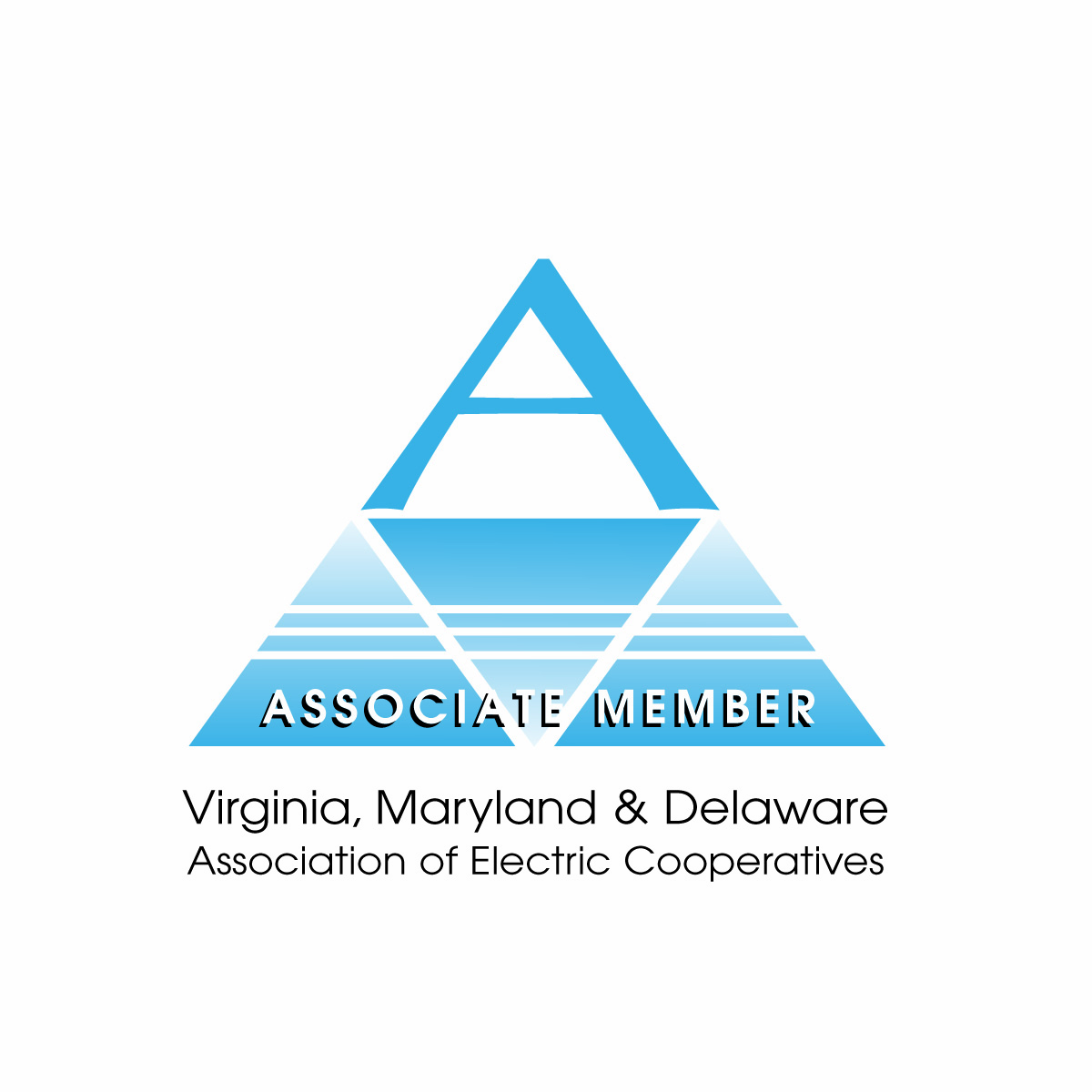 Electric Industry Associations PA Electric Industry Rep NY