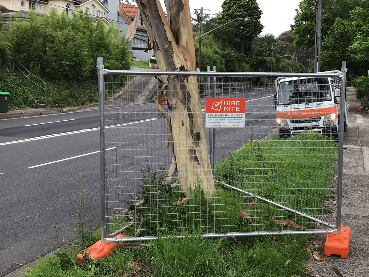 Temporary Fencing and Tree Protection. Keeping Trees Safe Across NSW