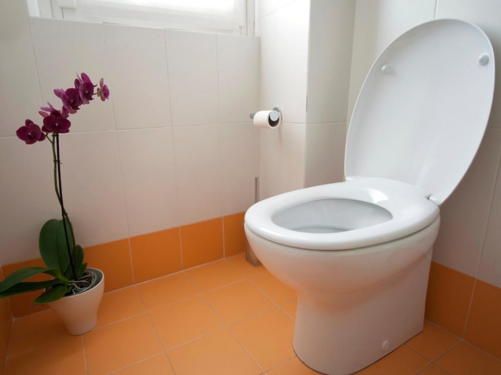 How to install a new toilet 9 steps HireRush Blog