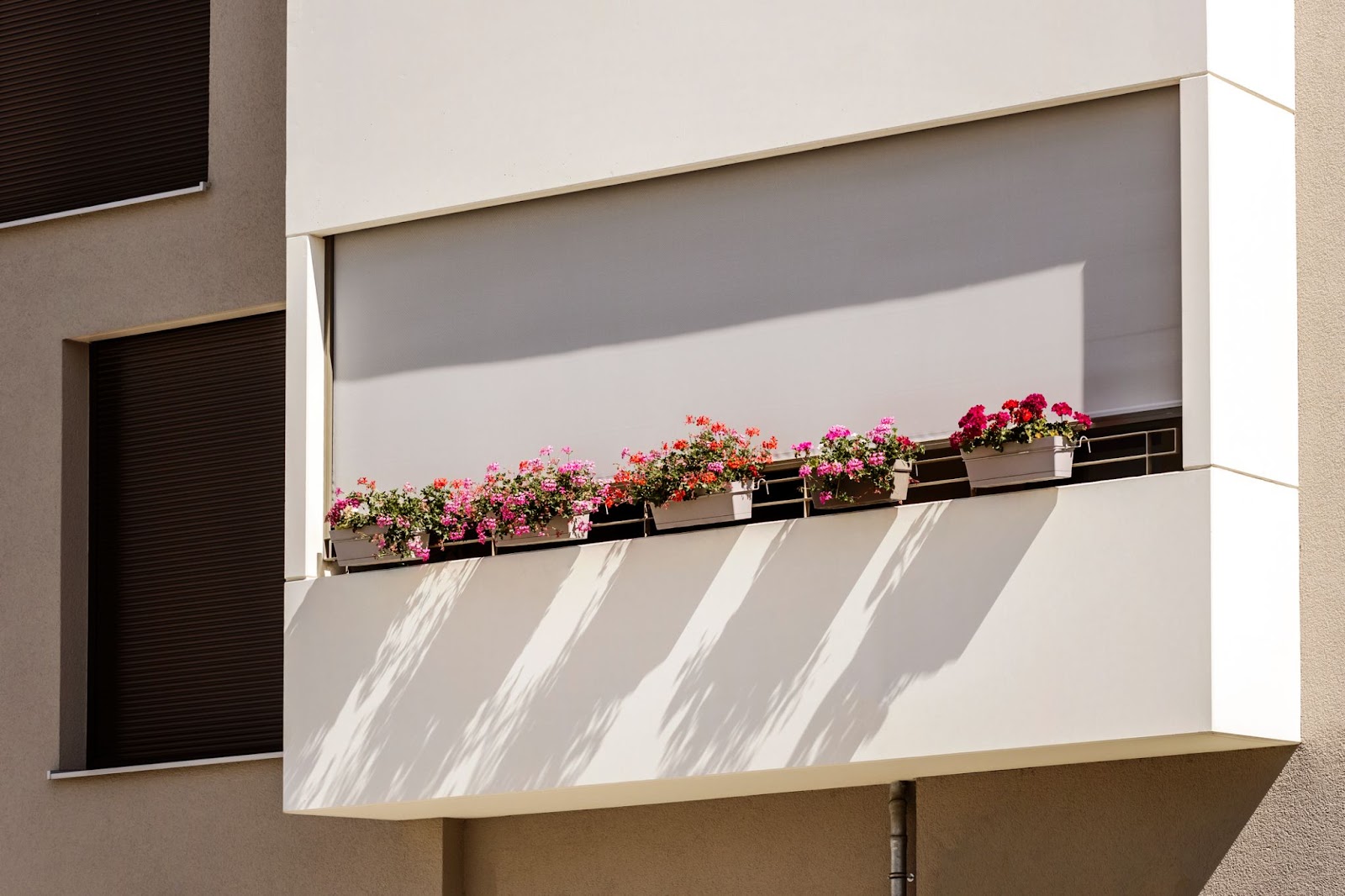 How Much Do Ziptrak Blinds Cost?
