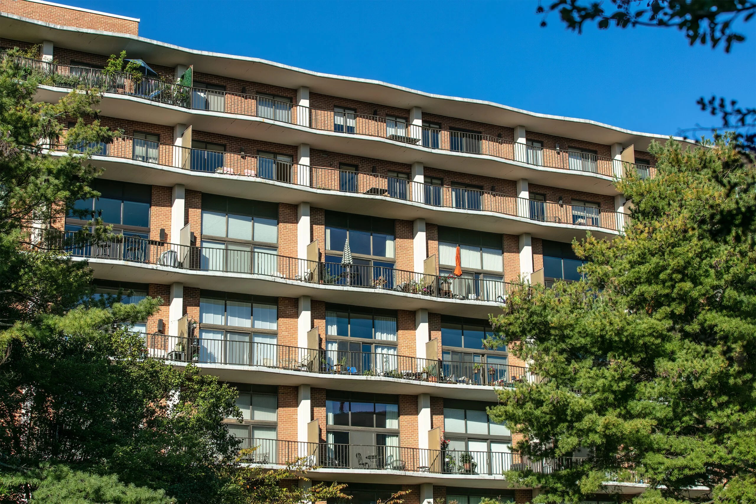 Sutton Towers HiRise Windows