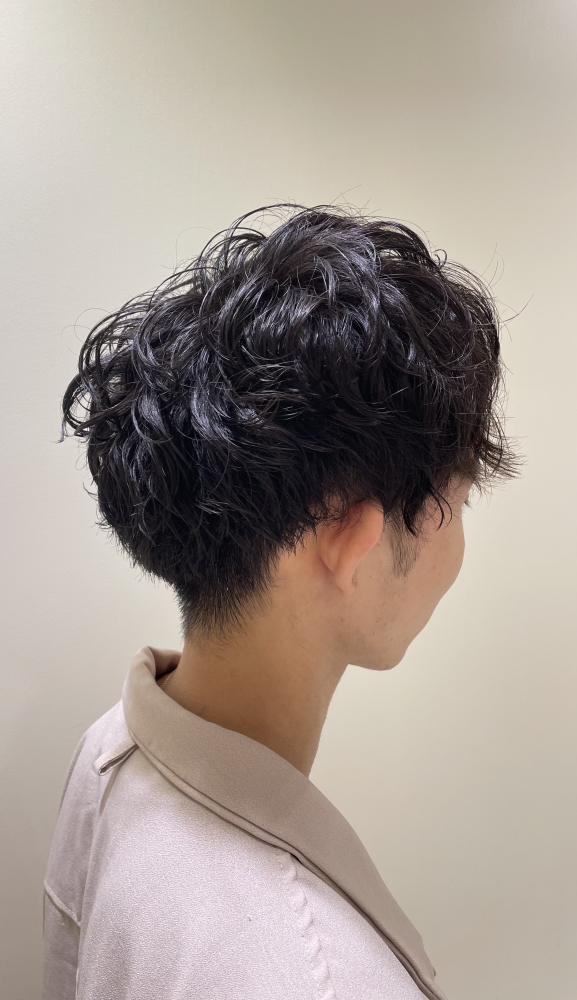 マッシュスタイル|ヘアカタログ|高級理容室・床屋・ヘアサロン|PREMIUM BARBER(プレミアムバーバー)