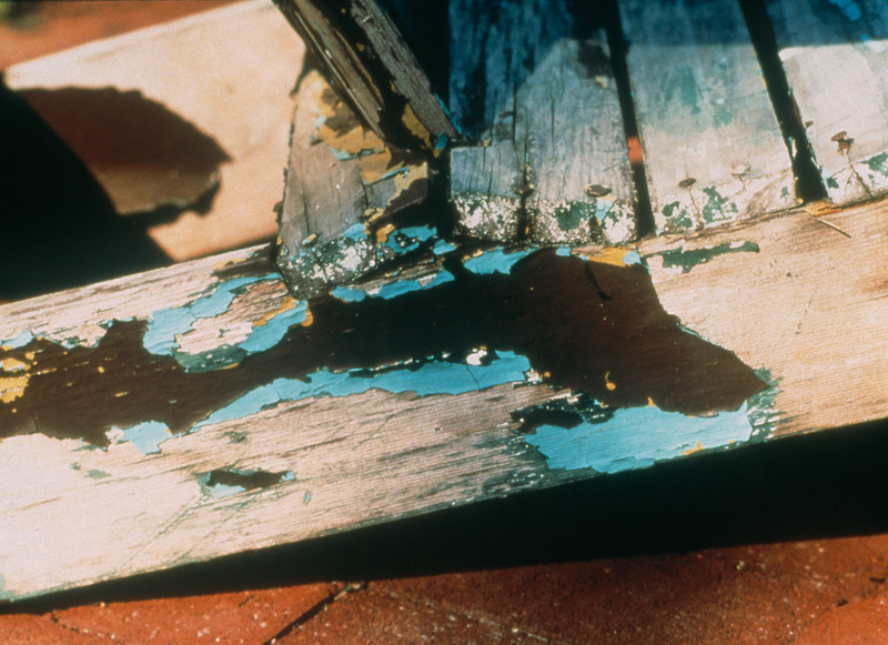 Paint Problem Solver Hirshfield's