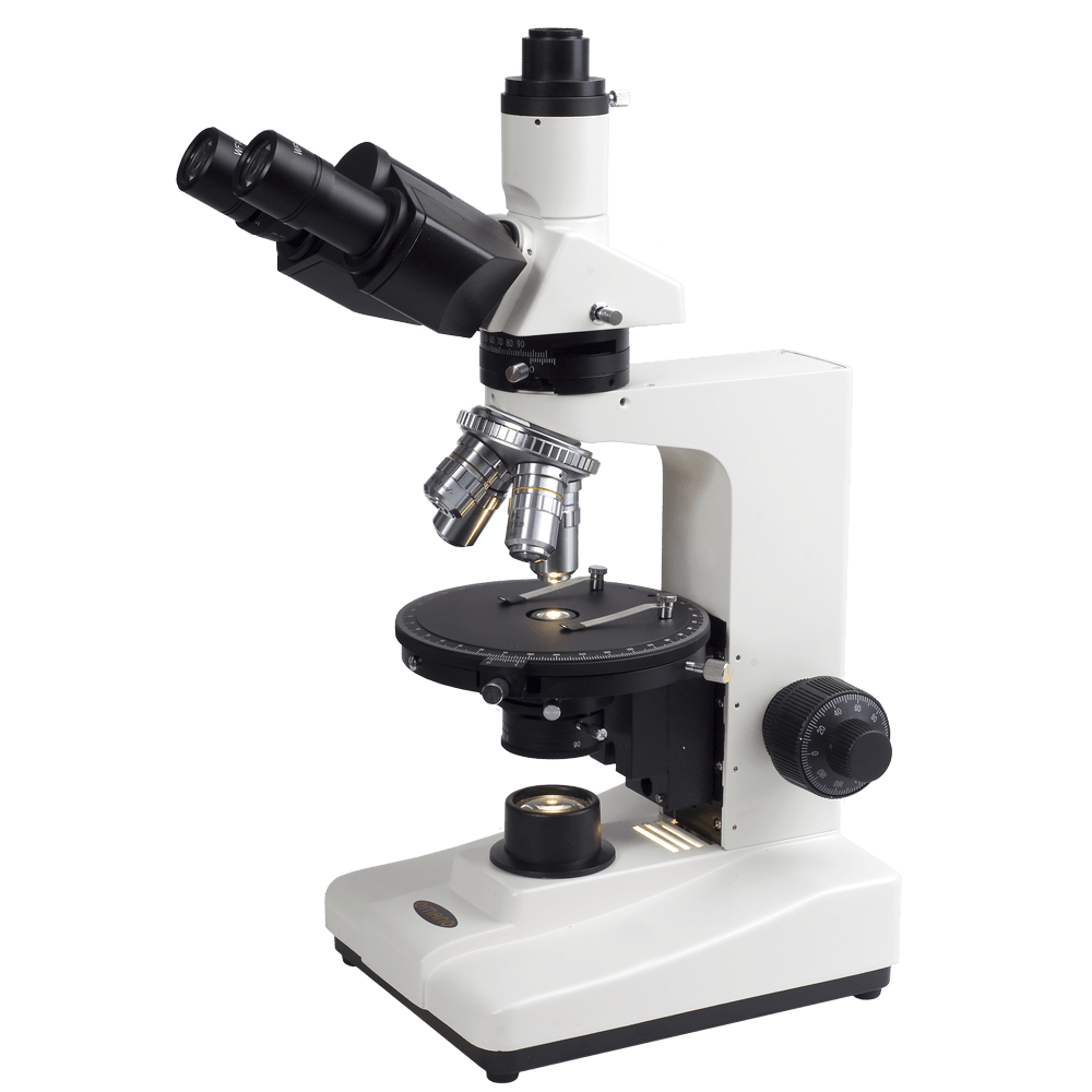 The definition of Histology is the study of anatomy of animals and