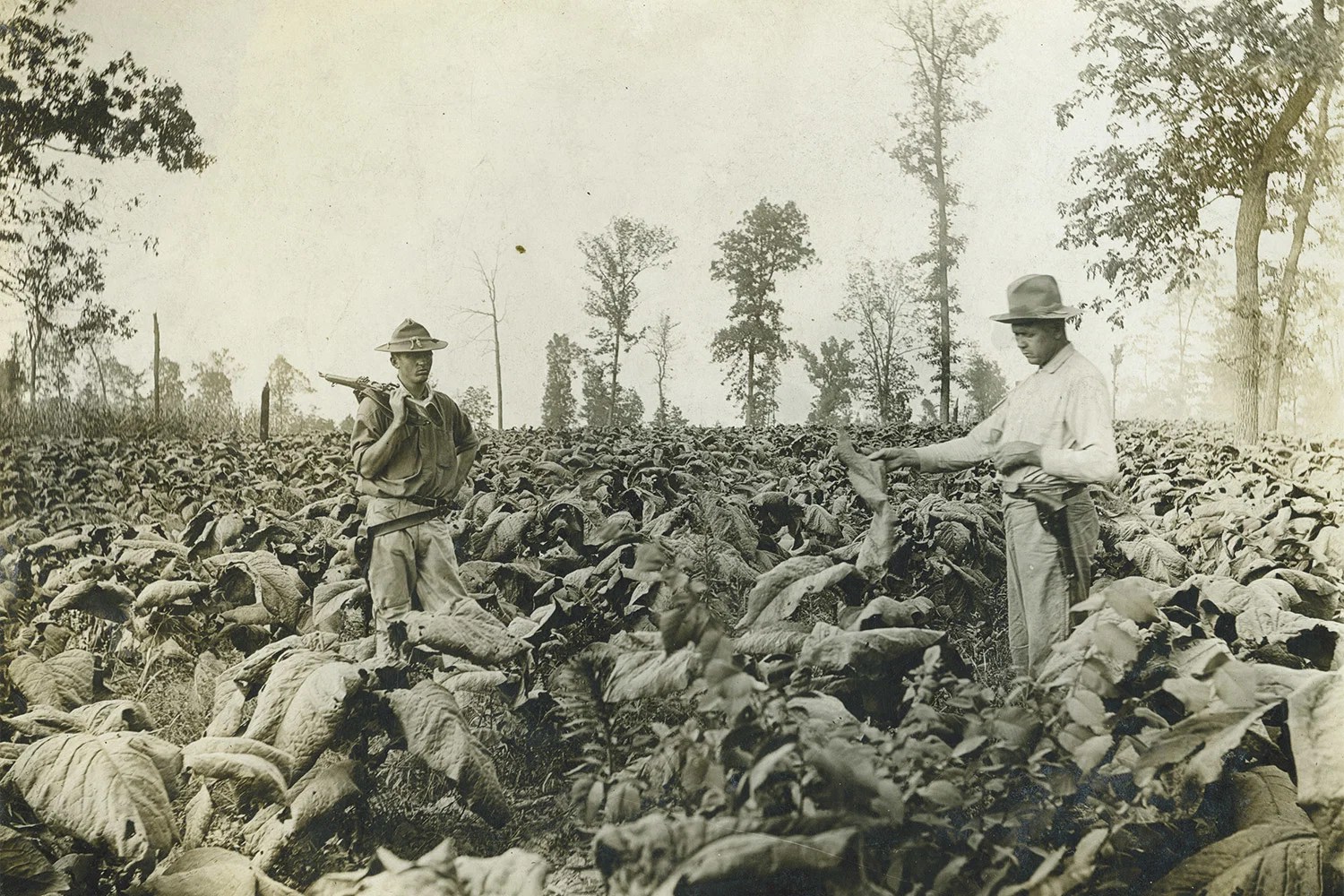 Brutal Saviours of the Black Patch History Today