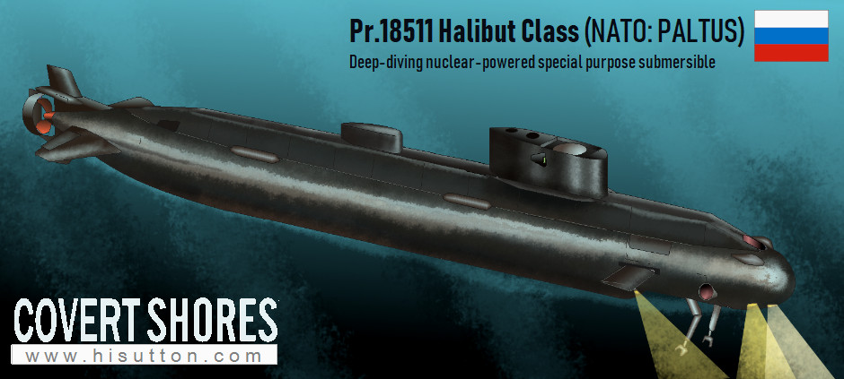 H I Sutton - Covert Shores