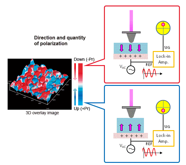 Piezo‐Response Microscope (PRM)
