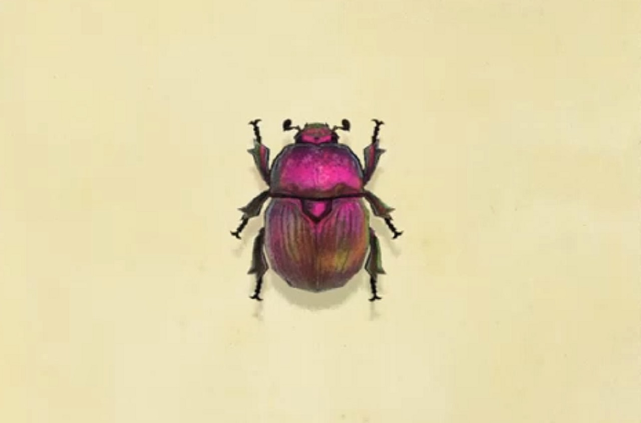 Earthboring dung beetle price and how to catch in Animal Crossing New