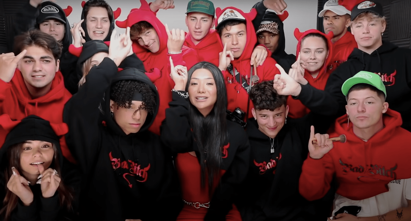 Netflix Is the Hype House reality show cancelled? Twitter reacts to