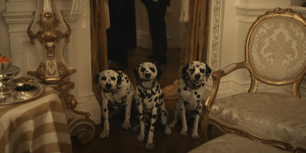 Buddy in Cruella What breed of dog is Buddy and does he die?